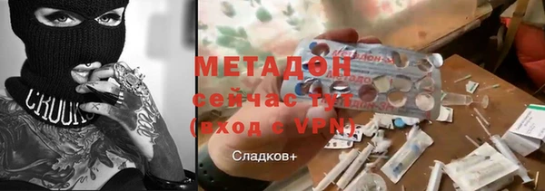 прущие грибы Алексин