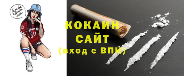 прущие грибы Алексин