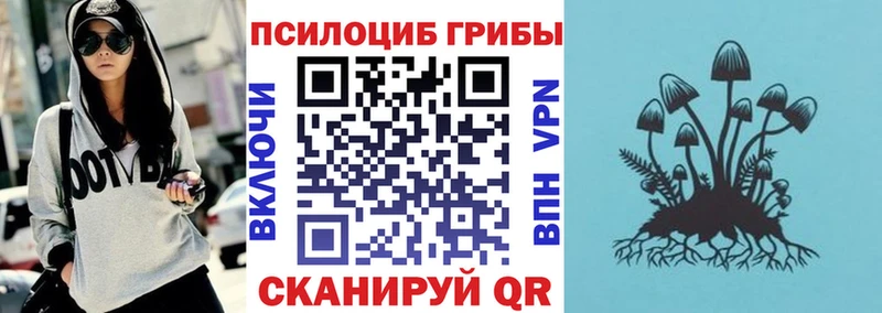купить наркоту  Барнаул  Галлюциногенные грибы Psilocybine cubensis 