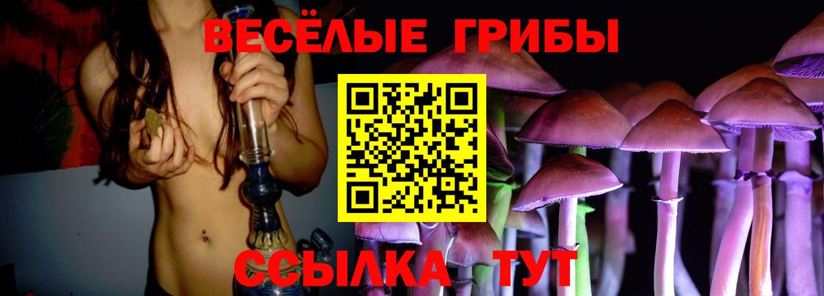 Псилоцибиновые грибы прущие грибы Барнаул